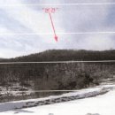 서후리141 이미지