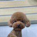 몽크의 아뜰리에 이미지