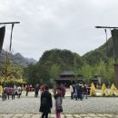 신농과일 Daum카페