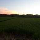 여주-1051 이미지