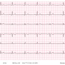 한남심장내과동물병원 이미지