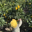 미영농장 이미지