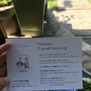 영남화훼농협 | 화훼 농가 돕기 - 온라인 생화 택배 (영남화훼농협 중매인1호 이용 후기)
