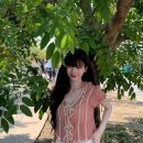 카리나