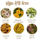 주례중학교 이미지
