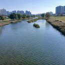 오룡주유소 이미지