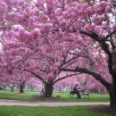 계룡시치매안심센터 이미지