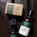 세수파파 이미지