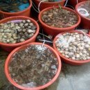 대천수산 이미지