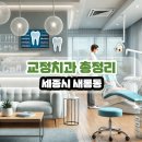 세종시 새롬동 교정치과 총정리