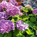 멍펜션6 이미지