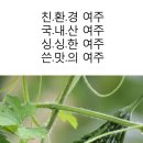 여주-0911 이미지