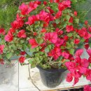 세진농장 이미지