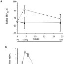 Isoprostanes and Oxidative Stress in Off-Pump and On-Pump Coronary Bypass Surgery 이미지