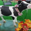 (주)에이티움 | [돌발 미션] 소쿠리, 2017 A Farm Show 스탬프 랠리 후기