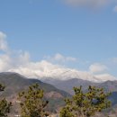 지리산해달원 이미지