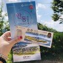 안동빙고하우스 | [안동] 여자혼자 뚜벅이 국내여행 : 2일차(2) 하회...탈빙고카페 일직식당 고타야게스트하우스 월영교야경