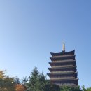 세미단팥빵 이미지