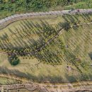 파크골프장(2) 이미지