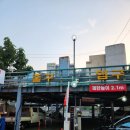 시골맛집물회 | 종로물회맛집으로 유명한 시골맛집물회 후기 안국역한식맛집 추천