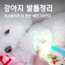 이브애견샵 | 강아지 발톱정리, 저소음이라 더 편한 애견그라인더
