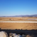 용지 태양광 이미지