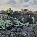 (주)동부산온천호텔 이미지