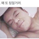 포실 이미지