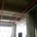 청주지웰동물병원 이미지