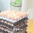 금란공방