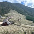 온산밀면 | 울산 1박 2일 여행: 온산횟집 / 머큐어 엠베서더 울산...간월재 / 삼산밀면 전문점 / 태화강국가정원...