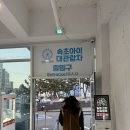 ㈜도원 | 속초아이 관람차 탑승 후기 | 속초 여행 필수 명소!