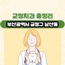 디이엔치과의원 | 부산광역시 금정구 남산동 교정치과 총정리