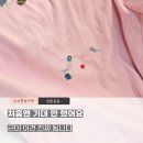 “이거 왜 이제 샀죠” 마이비 MyBEE 얼룩제거제 현실후기