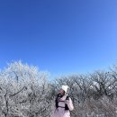 웅진교_재난CCTV2 | 겨울 선자령, 설산 실패하지 않는 방법ㅣ출발 전 방한 체크리스트