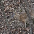 장자호수길 이미지