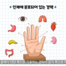 선운한방병원 이미지