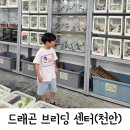 원주브리딩 | 어쩌다 도마뱀-크리스티드게코 키우게된 사연, 드래곤브리딩센터(천안 파충류샵)추천