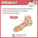 365유한의원 이미지