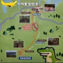 제447차 2025년 3월 22일 (넷째토) 단양 제비봉.악어봉 조망산행 이미지