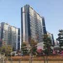 배곧한울초등학교 이미지