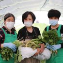 신영우농장 이미지