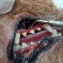 과천우주동물병원 이미지