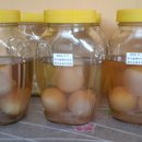 고유종농장 이미지