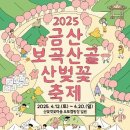 🌸 2025 금산 보곡산골 산벚꽃축제 완벽 가이드!🌸 충남 ‘산꽃벚꽃마을’ 오토캠핑장 일대에서 만나는...