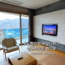 더블파크3단지세탁소 | 홍천 소노펠리체 비발디파크 실버 스위트 파크뷰 후기 (스키장·오션월드 뷰)