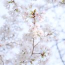 해수천2호 이미지