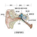 서현삼성이비인후과의원 네이버블로그