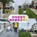 왕복짚라인제주주식회사 | 제주 짚라인 왕복 3번 체험 내돈내산 방문후기, 짧지만 강렬 😱