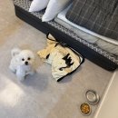 NR-6[경강로]-하-210 | 🌊[강릉 1박2일 여행이야기 행복은 별거 없어]